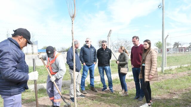 Forestación del Área Industrial
