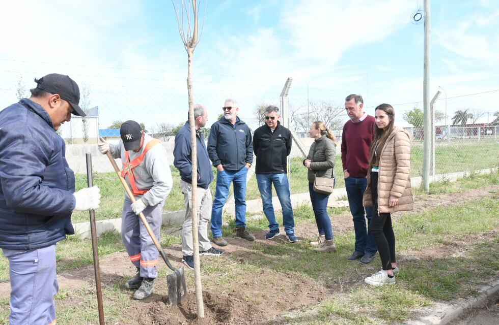 Plantaron 230 árboles en el Área Industrial