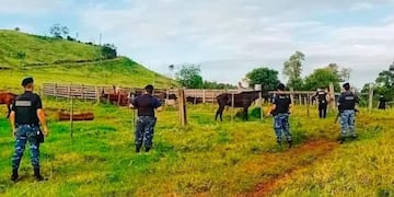 Bernardo de Irigoyen: le sustrajo casi 30 cabezas de ganado y se dio a la fuga.