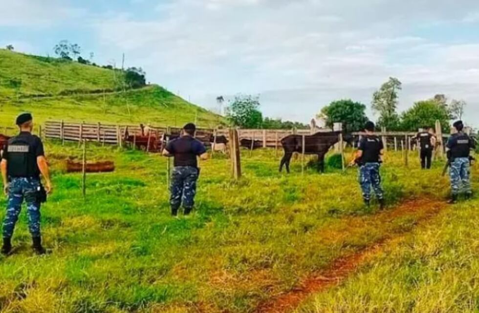 Bernardo de Irigoyen: le sustrajo casi 30 cabezas de ganado y se dio a la fuga