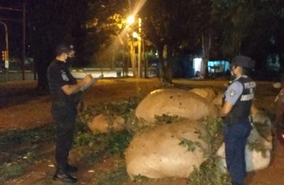 Campo Viera: la policía recuperó 10 raídos de hojas de yerba mate robabas