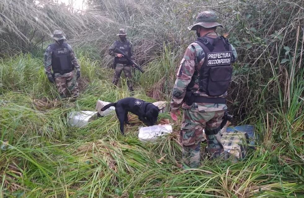 Casi media tonelada de marihuana incautada en Puerto Rico