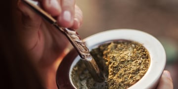 Mate (Foto ilustrativa)