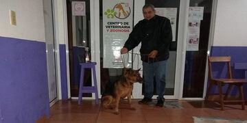 Eldorado: un perro cayó a un pozo de 4 metros y logró ser rescatado.
