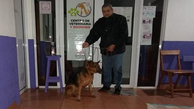 Eldorado: un perro cayó a un pozo de 4 metros y logró ser rescatado.