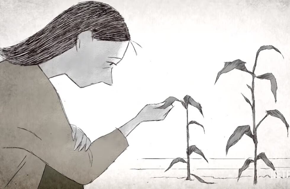 Dura poco más de 10 minutos pero hace llorar a quien la ve: este es el corto de Netflix que más emociona a la audiencia