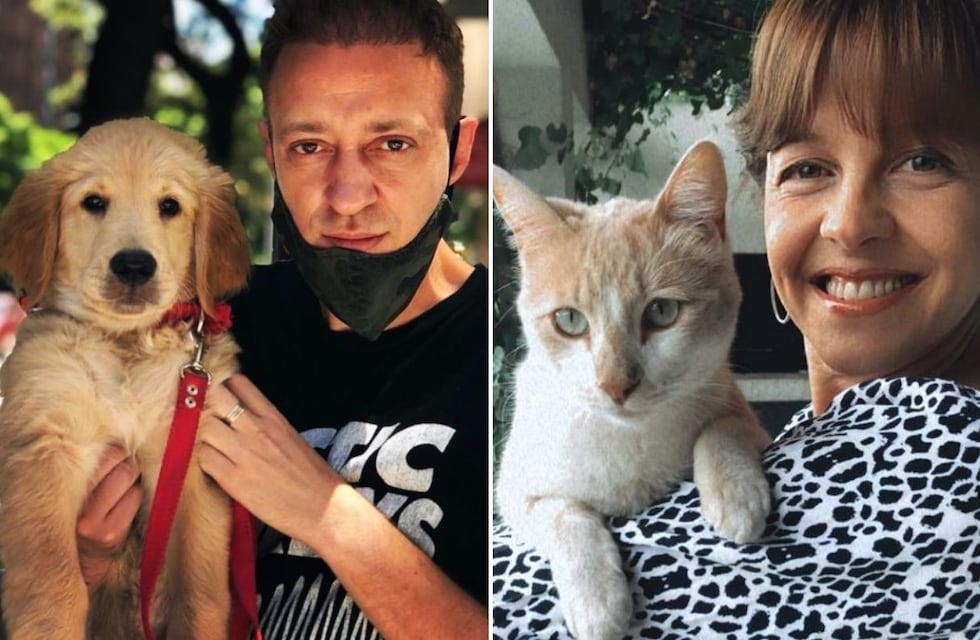 Figuras de los medios mendocinos y las mejores fotos con sus mascotas en el Día del Animal