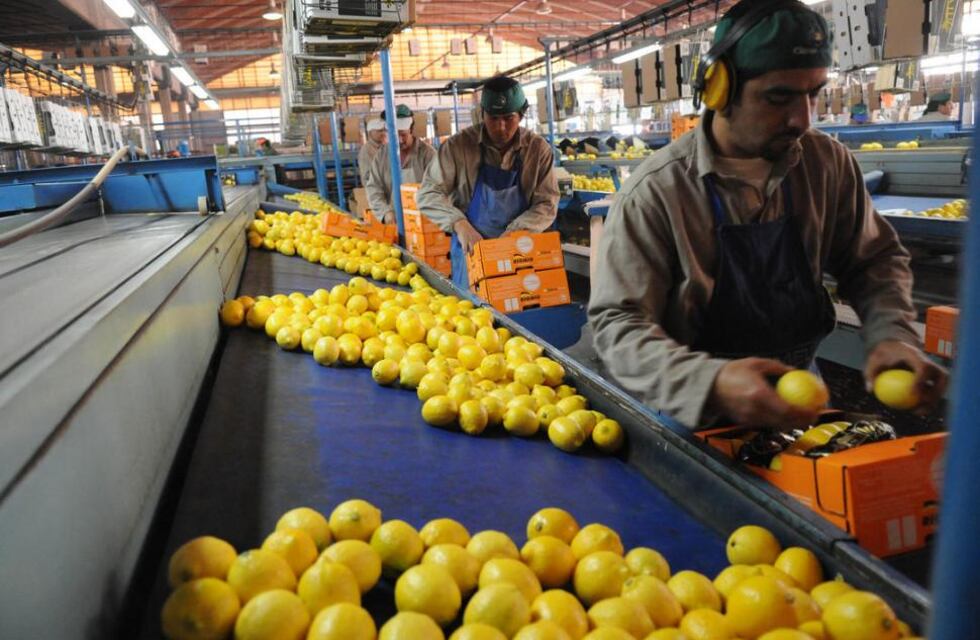 El primer envío de limones argentinos a la UE tras la reapertura de este mercado