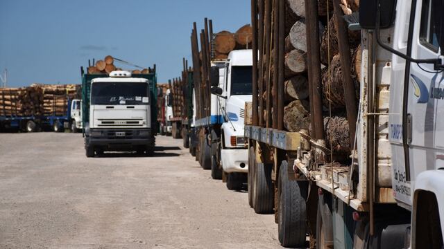 Ibicuy: control de carga