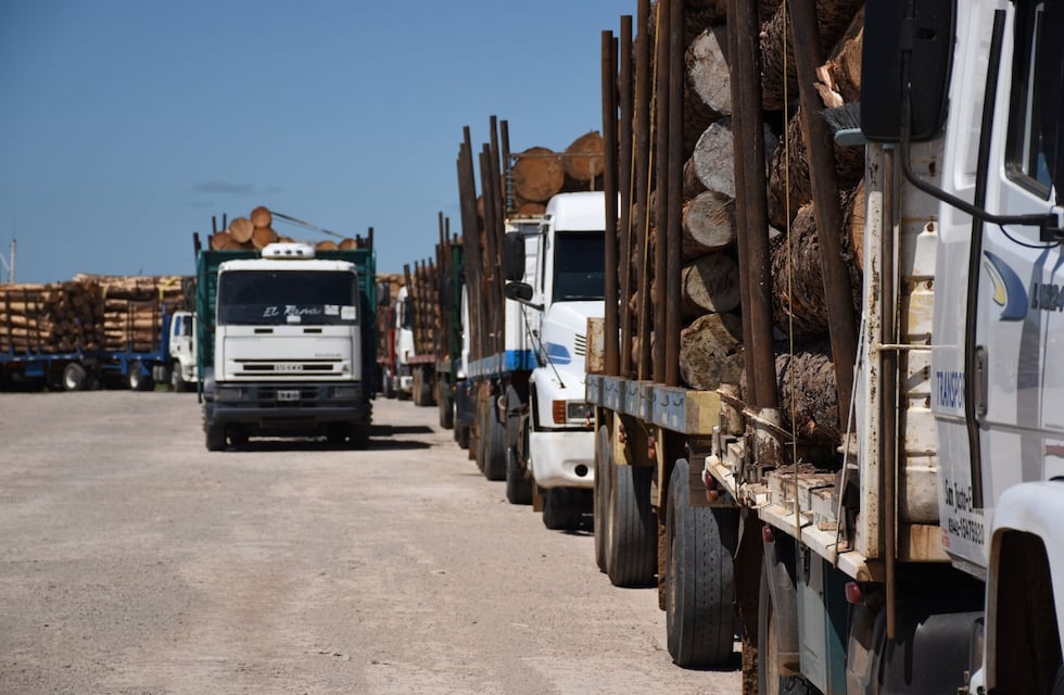 Prevén la instalación de una balanza para control de carga en el acceso a Ibicuy
