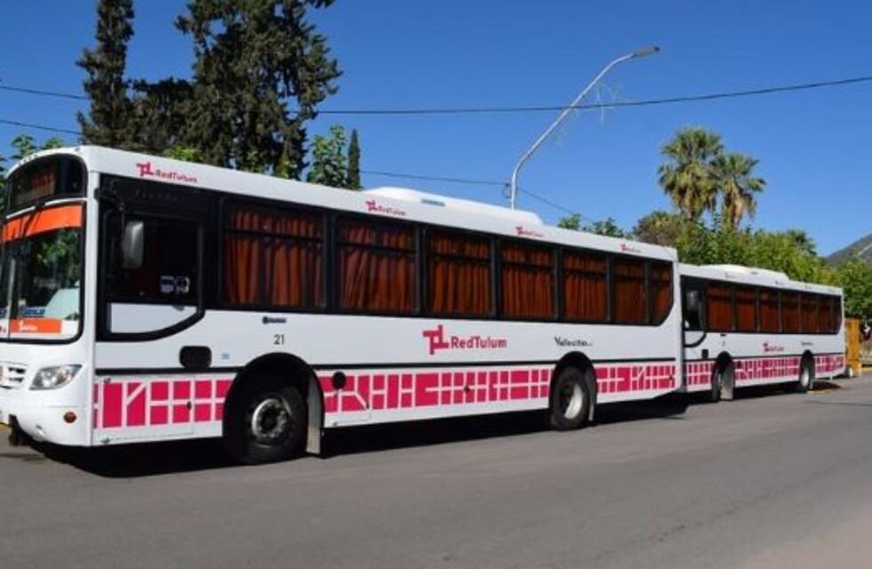 Más de 245.000 usuarios ya descargaron la App de Red Tulum