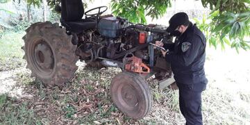 Nuevamente, el apeo ilegal de madera golpea a Misiones.