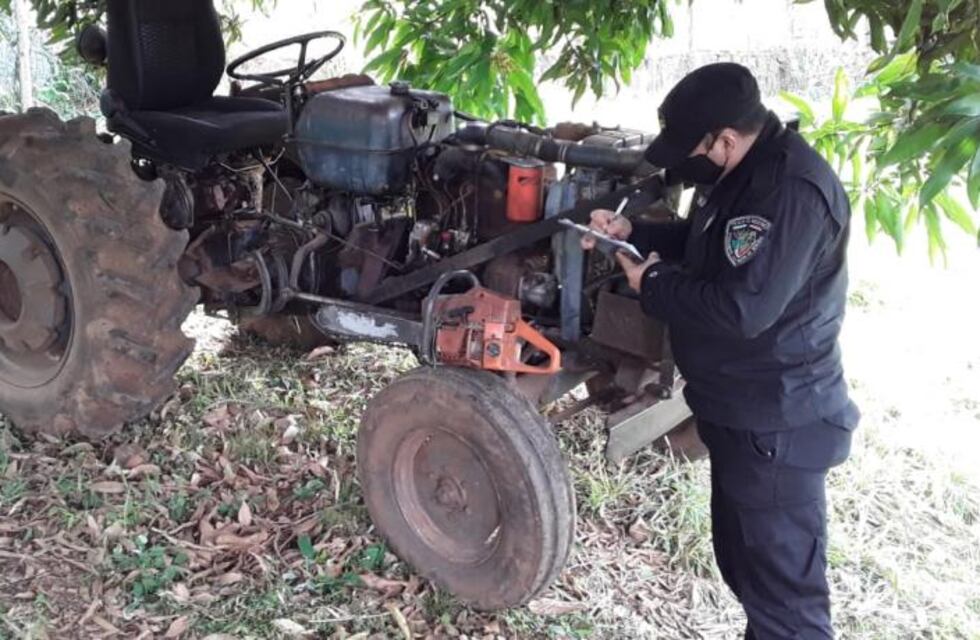 Nuevamente, el apeo ilegal de madera golpea a Misiones