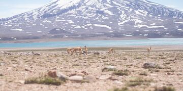 Laguna del Diamante: el sábado 20 inaugura la temporada 2023/24. Foto: Prensa Gob. de Mendoza