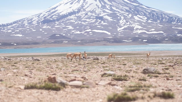 Laguna del Diamante: el sábado 20 inaugura la temporada 2023/24. Foto: Prensa Gob. de Mendoza