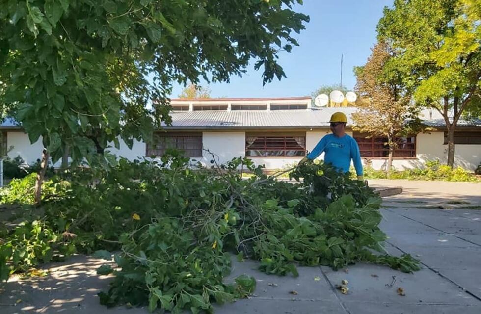 Colaboran con la limpieza en los predios de 30 escuelas de Alvear