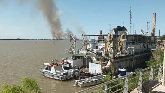 Incendios en las islas frente a la ciudad de Paraná.