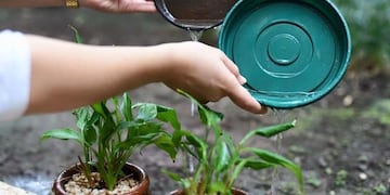 Sugieren limpiar los patios tras las lluvias, para evitar casos de dengue