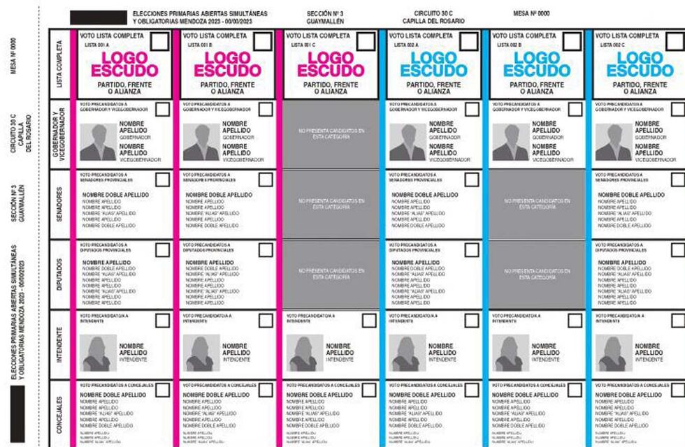 El HCD expresó su beneplácito por la aprobación de la Ley de  Boleta Única de Papel