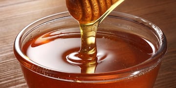 Temporada alta de miel: todo lo que hay que saber de este noble producto