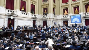 Diputados debate el veto presidencial y si insiste en la Ley de Financiamiento Universitario. (Prensa Diputados)