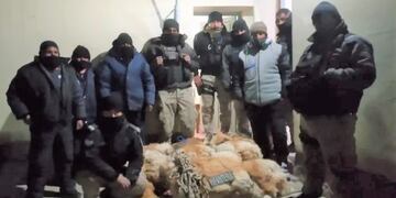 Cazadores furtivos fueron sorprendidos con 45 cueros de vicuñas al norte de la Puna jujeña.