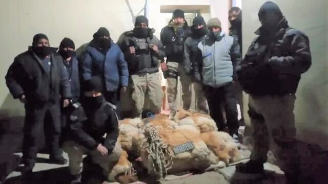 Cazadores furtivos fueron sorprendidos con 45 cueros de vicuñas al norte de la Puna jujeña.