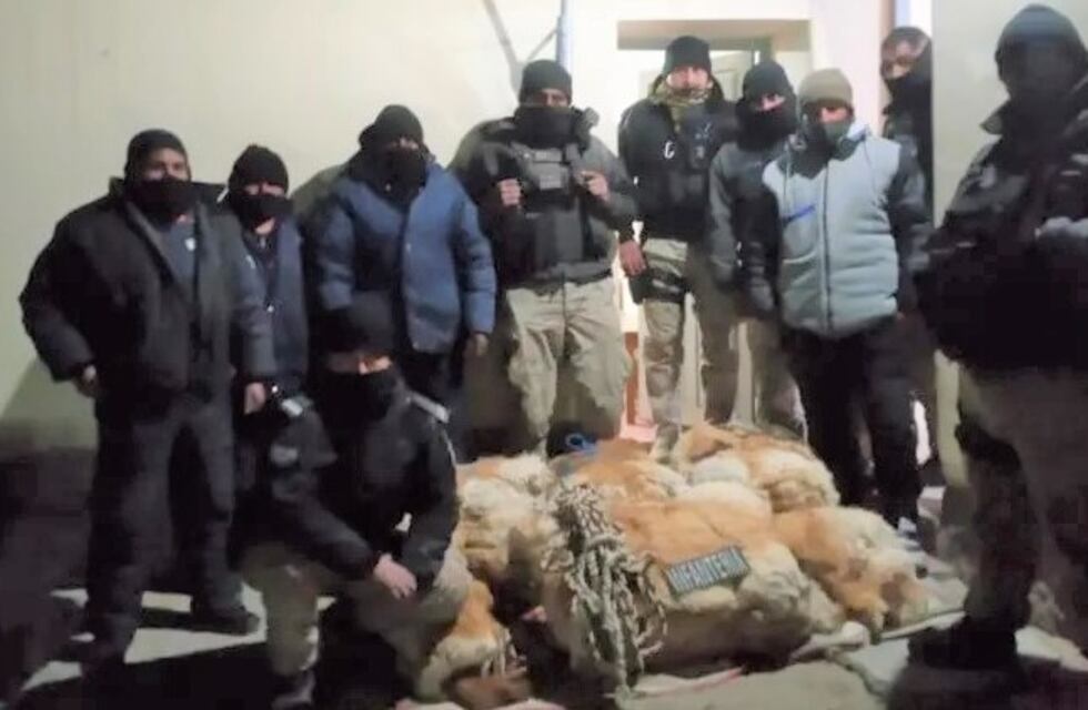 Atrapan in fraganti a depredadores de fauna autóctona en Jujuy