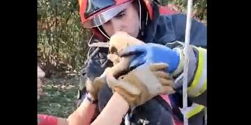 Tres cachoritos fueron abandonados en un pozo en barrio Villa Retiro. Efectivos lograron salvarlos.