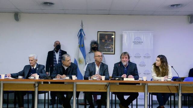 Con el diputado Rizotti a la cabeza, la Comisión de Transporte se reunirá el próximo martes (Foto: HCDN)