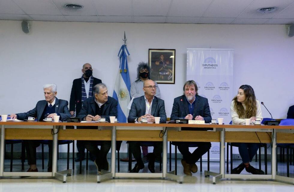 Con proyectos del oficialismo y la oposición, Diputados activa el debate sobre los subsidios al transporte