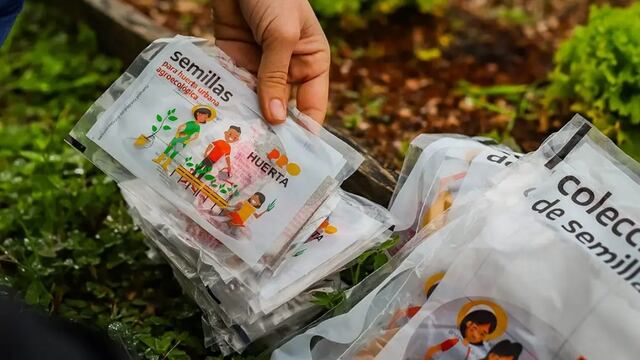 Programa Pro-Huerta: Pueblo Belgrano ofrece semillas de temporada otoño-invierno