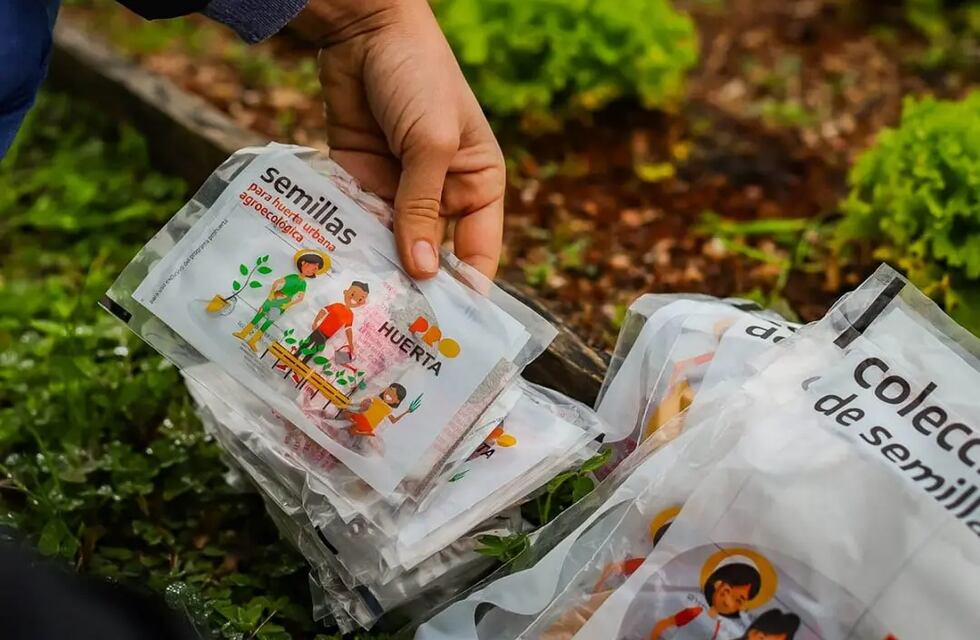 Programa Pro-Huerta: Pueblo Belgrano ofrece semillas de temporada otoño-invierno