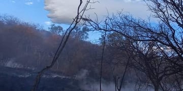 Más de 50 bomberos trabajan en el lugar.