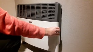 El nuevo electrodoméstico que está reemplazando a la estufa: consume menos y es más seguro.