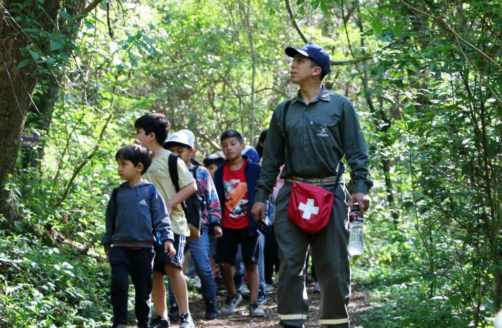 Verano en Jujuy: el Parque Botánico Municipal propone novedosa experiencia