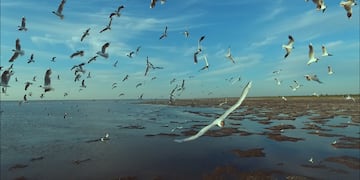 Bajo De Ansenuza - Morteros