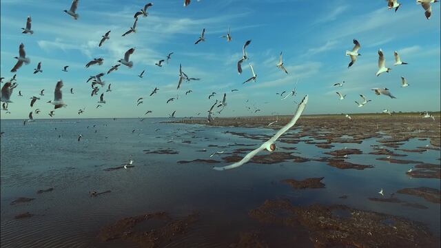 Bajo De Ansenuza - Morteros