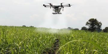 Evolución. El uso drones, apoyados en plataformas con inteligencia artificial, permiten aplicaciones más eficientes para mejorar la productividad de los cultivos. (Vía País)