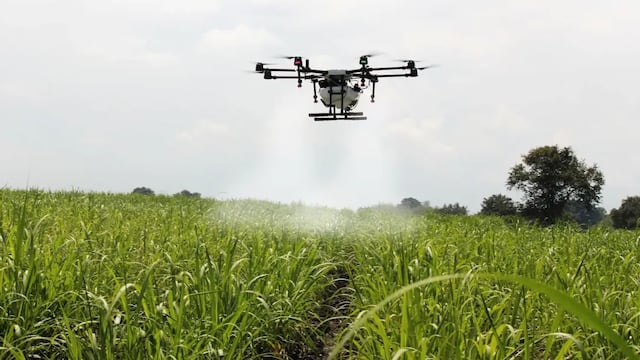Mediante drones e inteligencia artificial, la empresa Agro Sustentable busca “proporcionar un servicio completo a los productores”