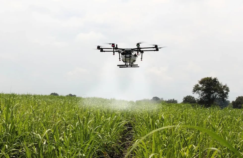 El futuro del agro: claves para repensar la innovación, la sustentabilidad y la tecnología