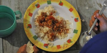 La Universidad Nacional de Cuyo lanzó una campaña para ayudar a 80 merenderos.