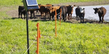 Más de 280 productores ganaderos de Mendoza se beneficiarán con boyeros con energía solar. Gentileza Gobierno de Mendoza