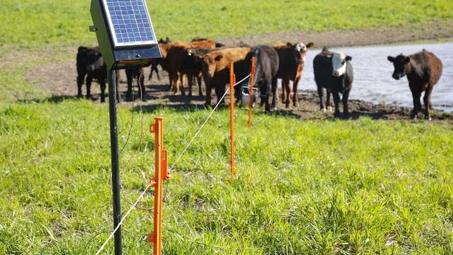Más de 280 productores ganaderos de Mendoza se beneficiarán con boyeros con energía solar. Gentileza Gobierno de Mendoza