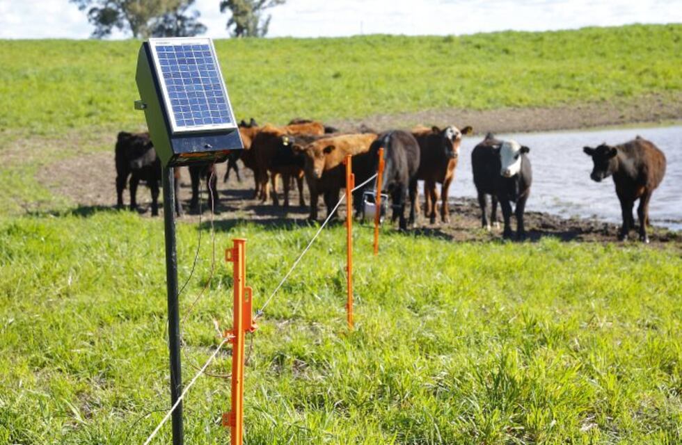 Más de 288 productores se beneficiarán con boyeros con energía solar