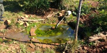 Salto Encantado: IProDHa lleva adelante tareas de resguardo medioambiental