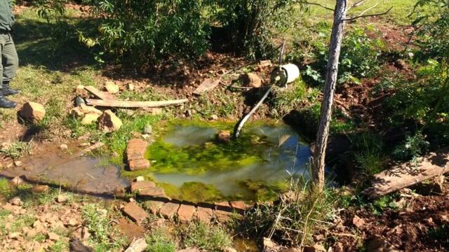 Salto Encantado: IProDHa lleva adelante tareas de resguardo medioambiental