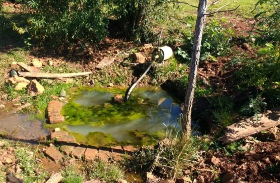Salto Encantado: IProDHa lleva adelante tareas de resguardo medioambiental