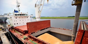 Exportación Cereales
