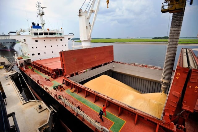 Exportación Cereales